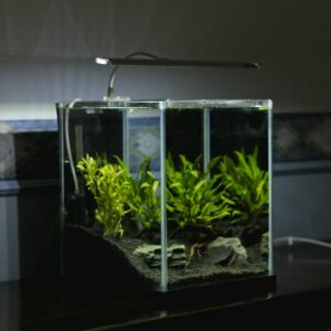 nano tank
