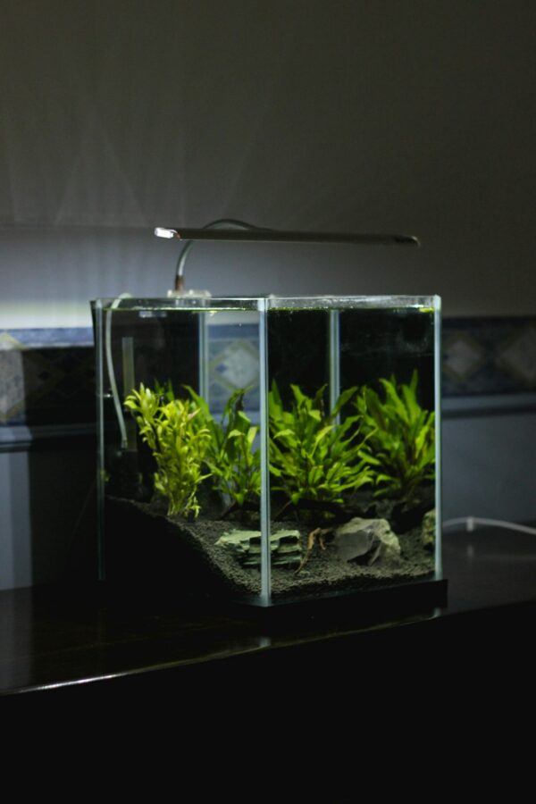 nano tank